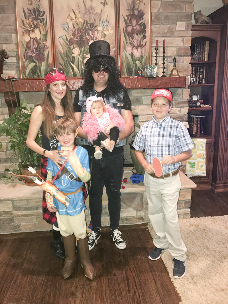 Our cute little family. Axl Rose, Slash, Link from Zelda Breath of the Wild, baby flamingo and Forest Gump